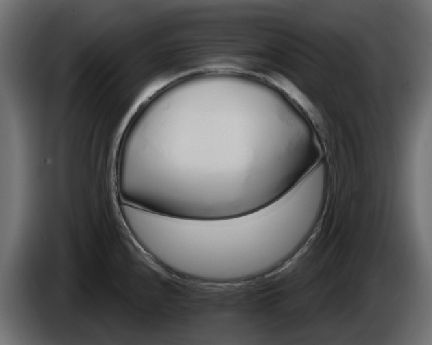 X0000083591240200703021835