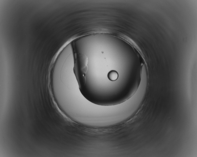 X0000083591243200703021835