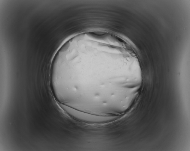 X0000083591244200703021836