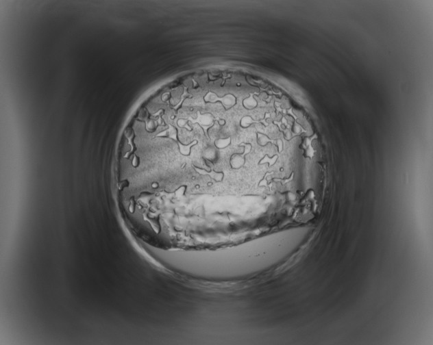 X0000083591247200703021836
