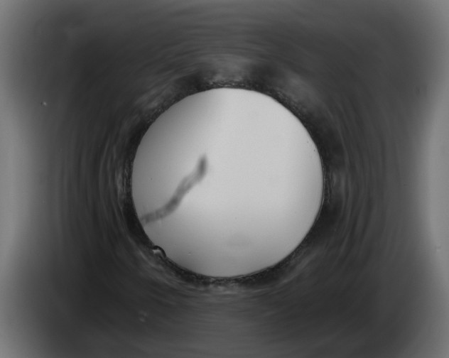 X0000083591250200703021835