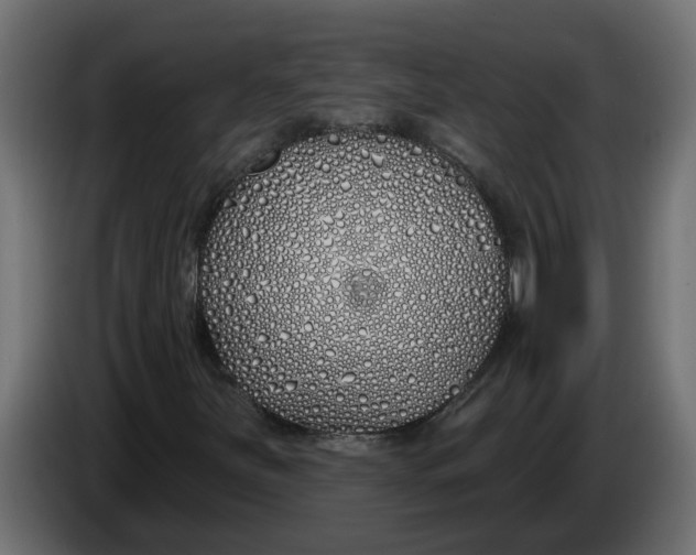 X0000083591251200703021835