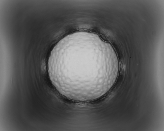 X0000083591252200703021835