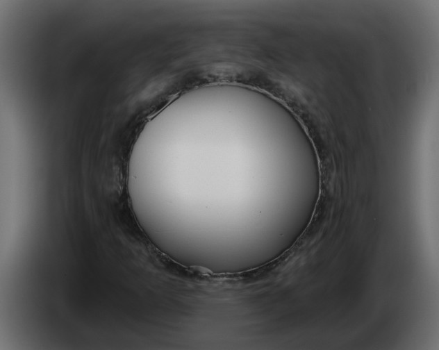 X0000083591253200703021835