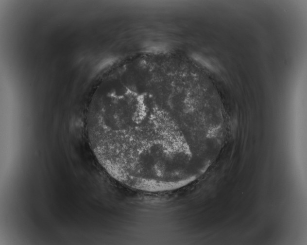 X0000083591254200703021835