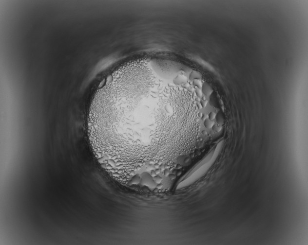 X0000083591255200703021835