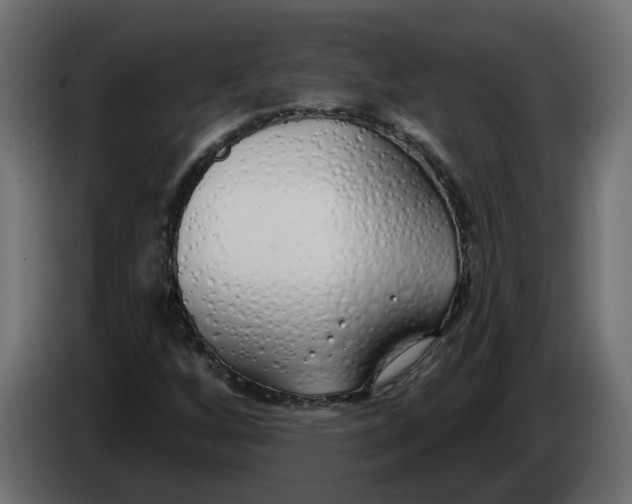 X0000083591256200703021835