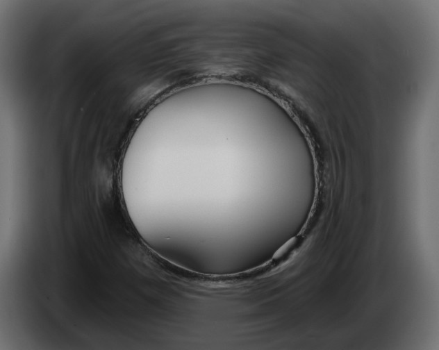 X0000083591257200703021834