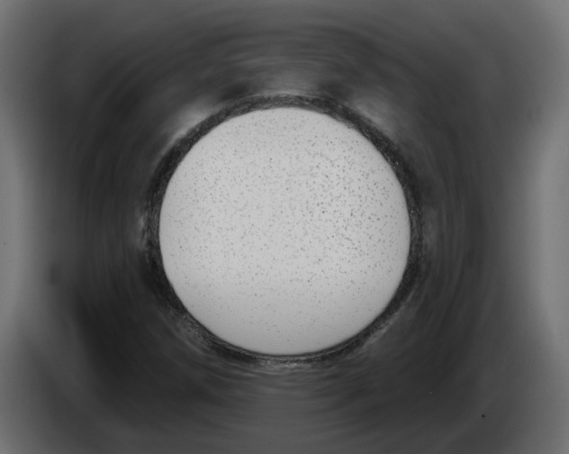 X0000083591258200703021834