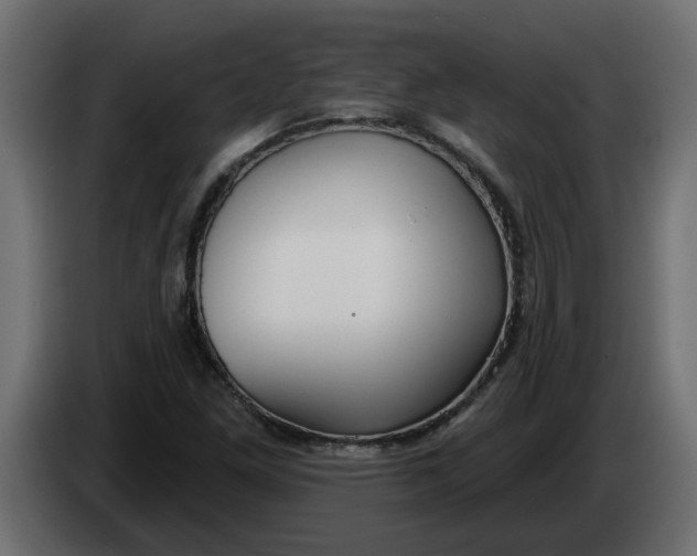 X0000083591261200703021834