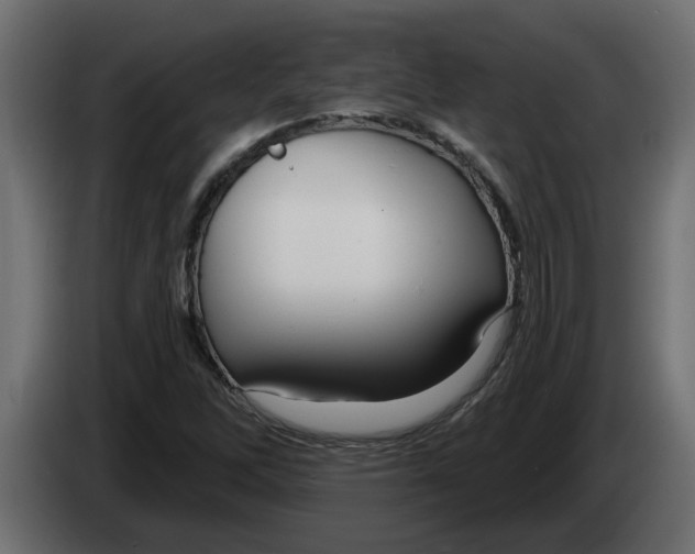 X0000083591262200703021834