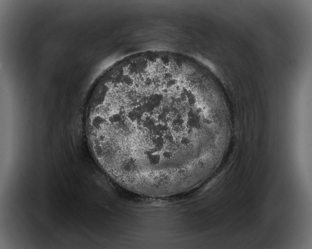X0000083591263200703021834