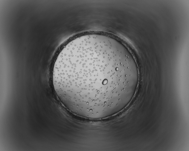 X0000083591264200703021834
