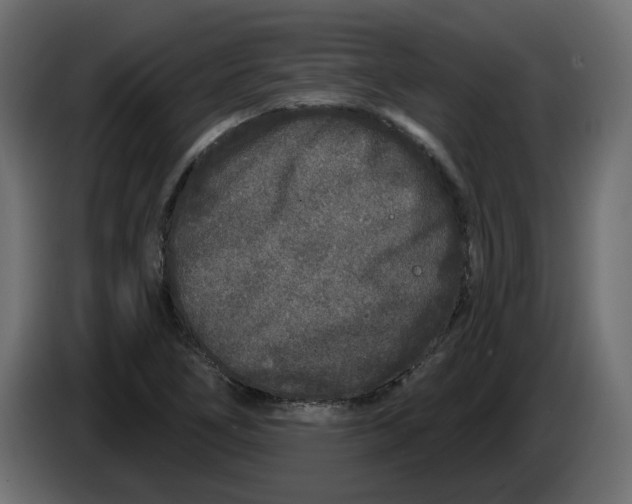 X0000083591266200703021834