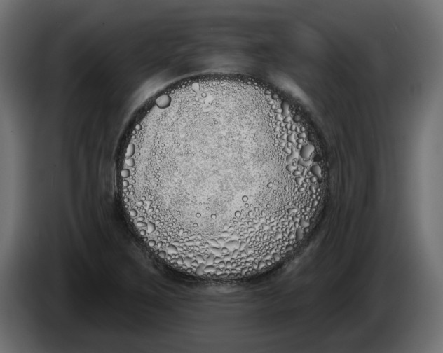 X0000083591267200703021834
