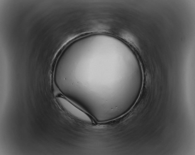 X0000083591268200703021834
