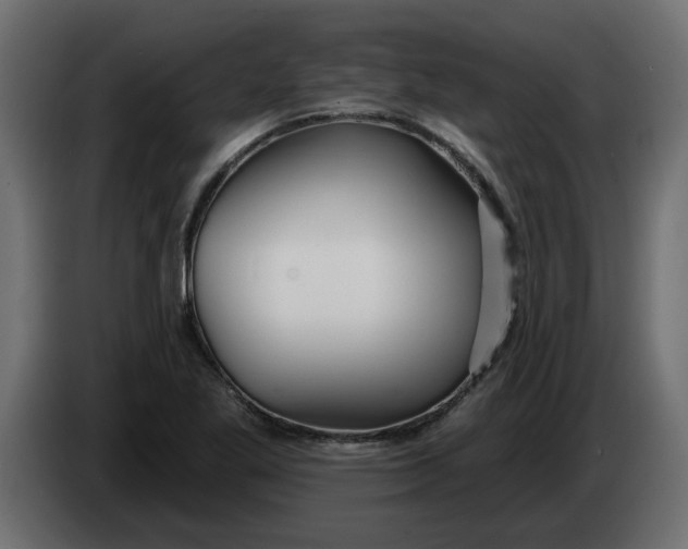 X0000083591269200703021834