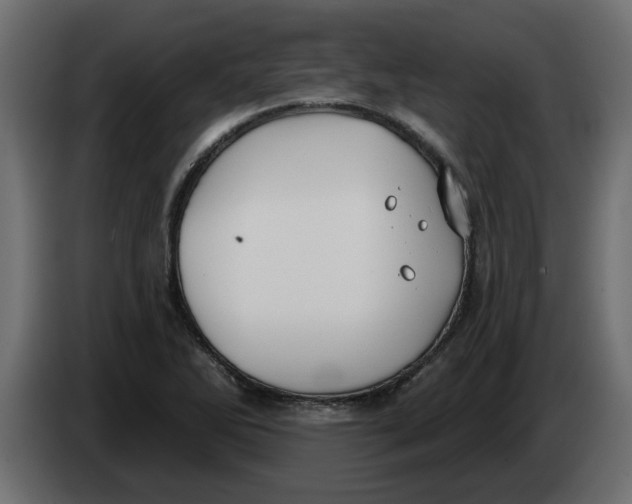 X0000083591270200703021834