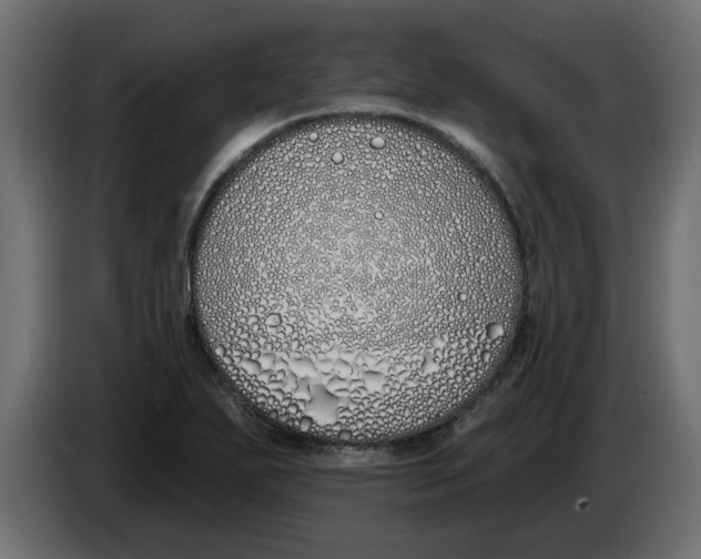 X0000083591271200703021834
