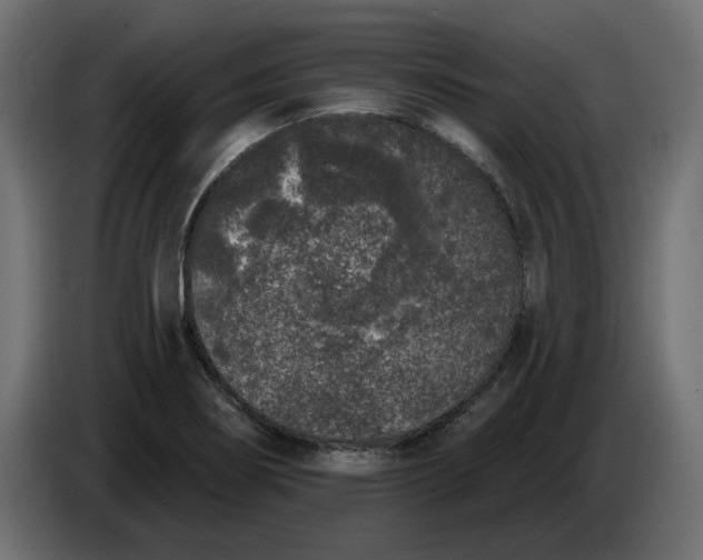 X0000083591274200703021834