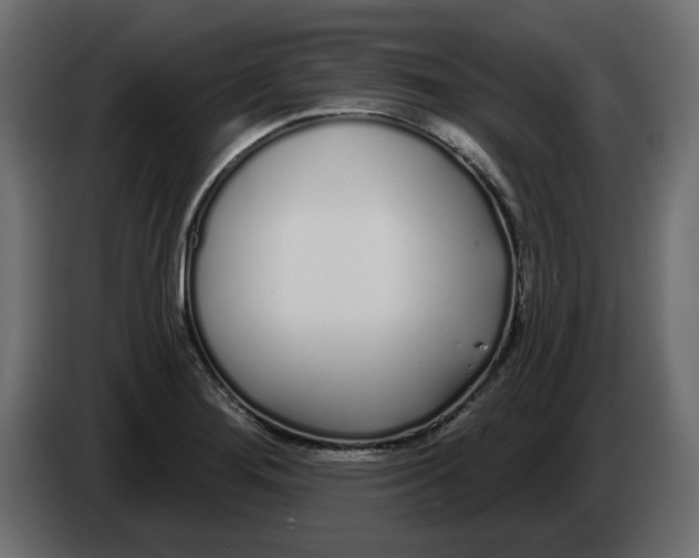 X0000083591276200703021834