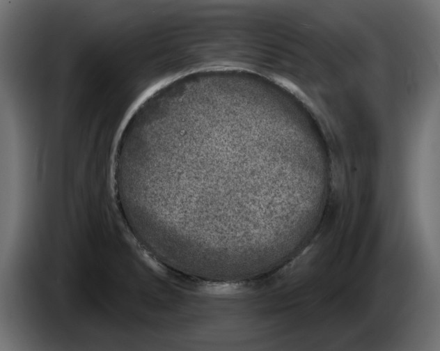 X0000083591278200703021834
