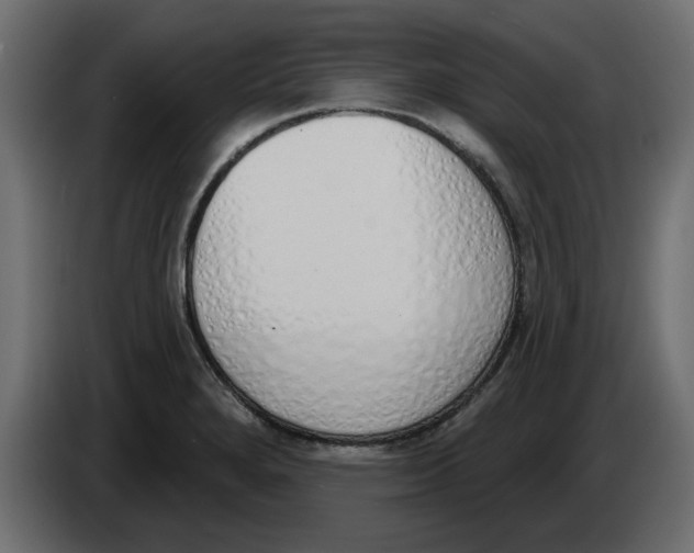 X0000083591280200703021834
