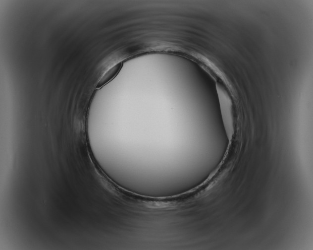X0000083591281200703021834
