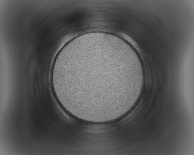 X0000083591282200703021834