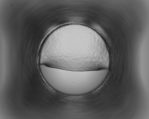 X0000083591284200703021834