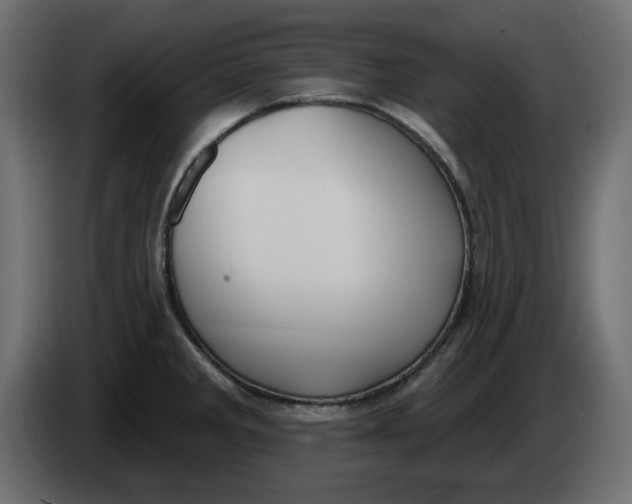 X0000083591285200703021834