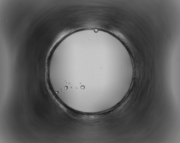 X0000083591286200703021834