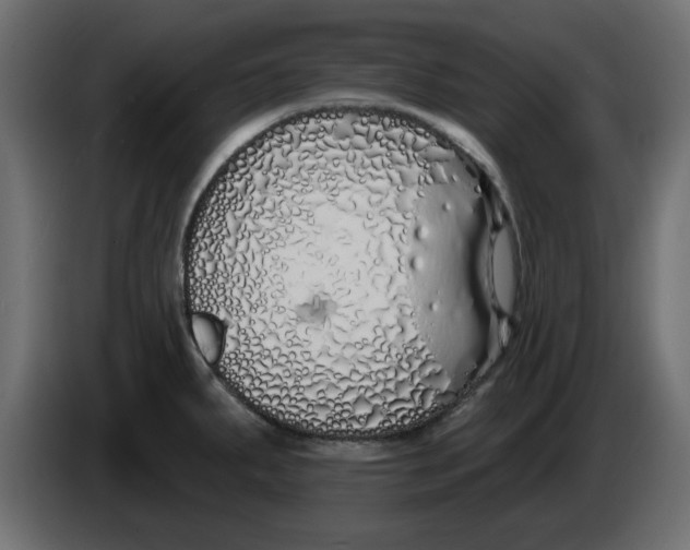 X0000083591287200703021834