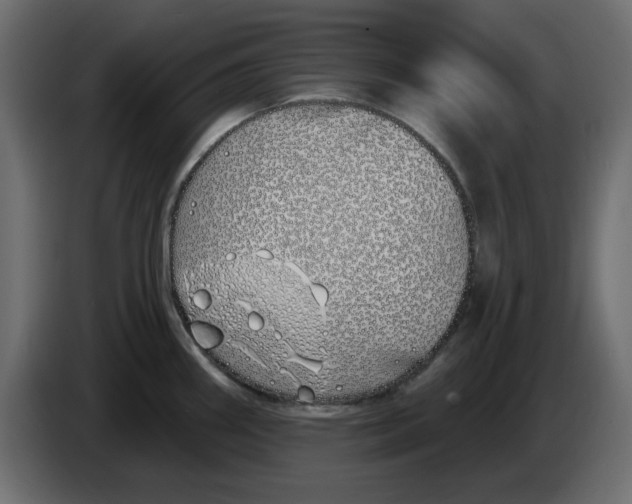 X0000083591290200703021834