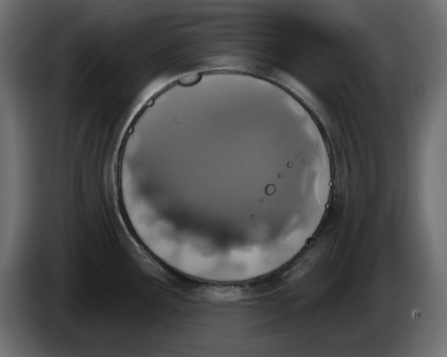 X0000083591291200703021834