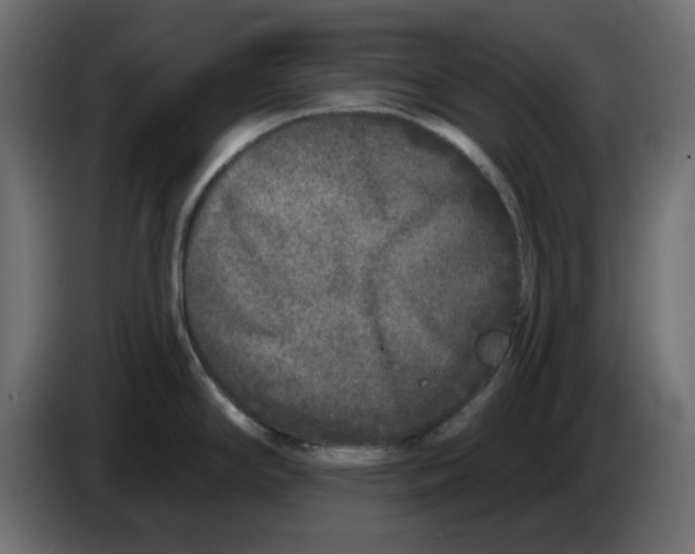 X0000083591294200703021834