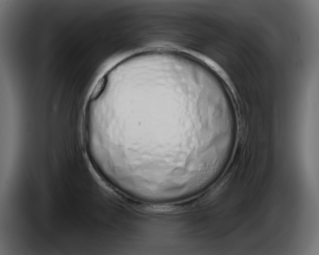 X0000083591295200703021834