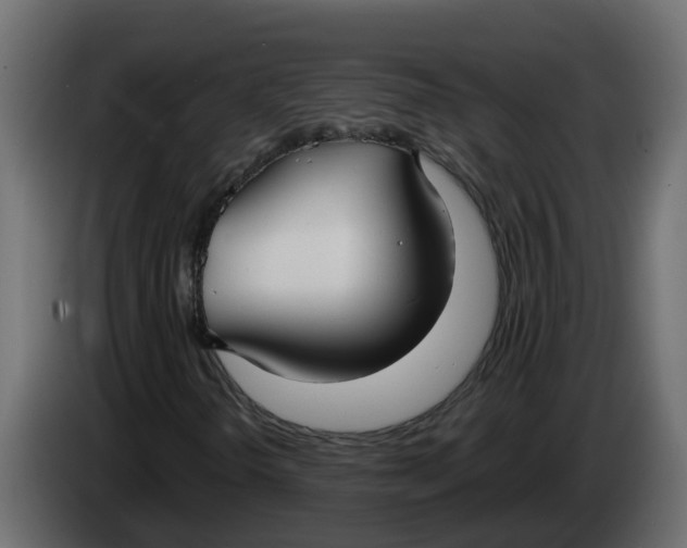 X0000083591298200703021833
