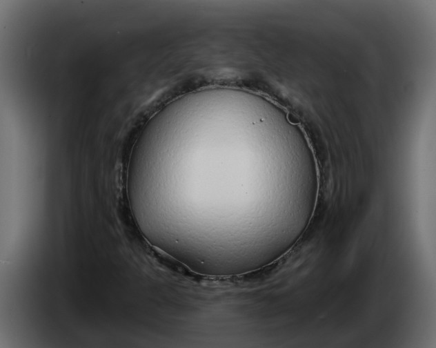 X0000083591301200703021833