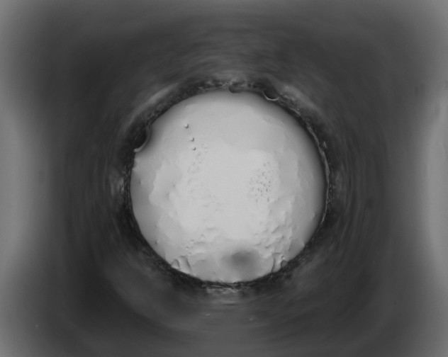 X0000083591302200703021833