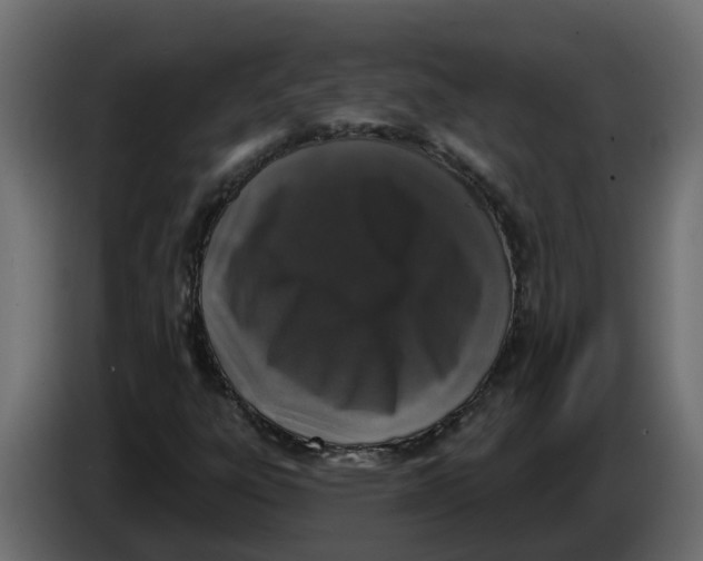 X0000083591303200703021833