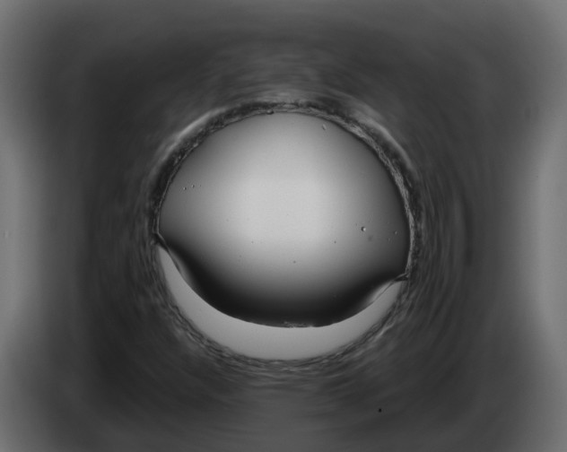 X0000083591304200703021833