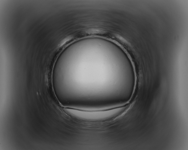 X0000083591305200703021833