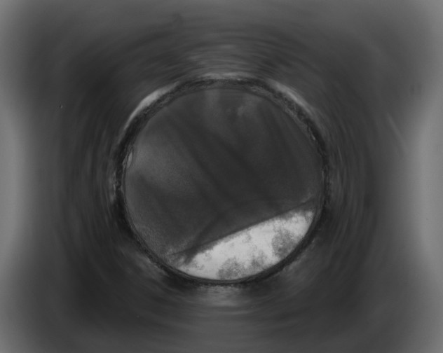 X0000083591306200703021833