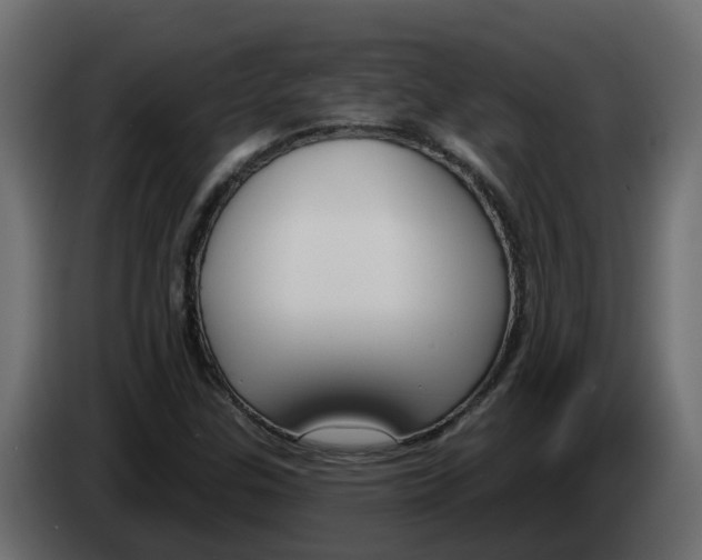 X0000083591307200703021833