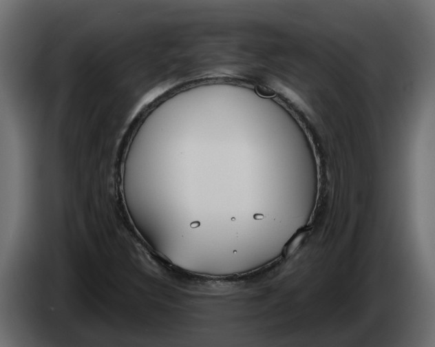 X0000083591308200703021833