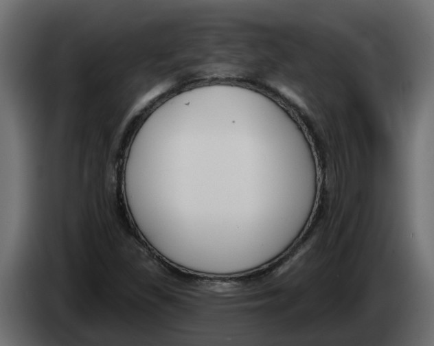 X0000083591309200703021833