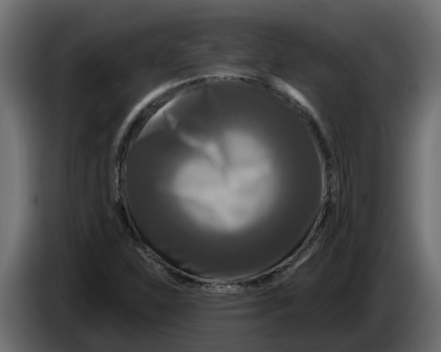 X0000083591310200703021833