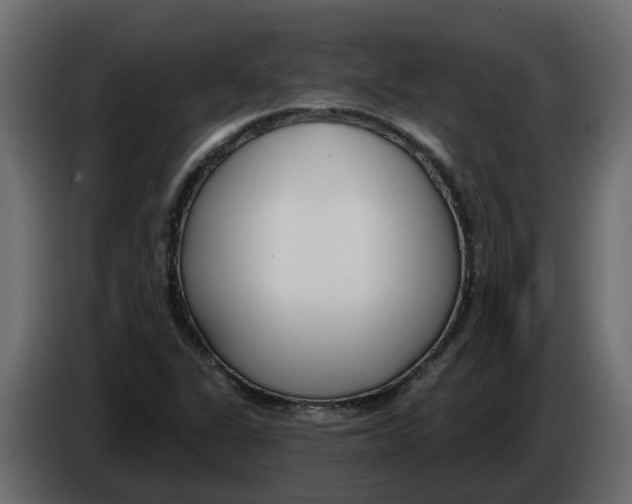 X0000083591311200703021833