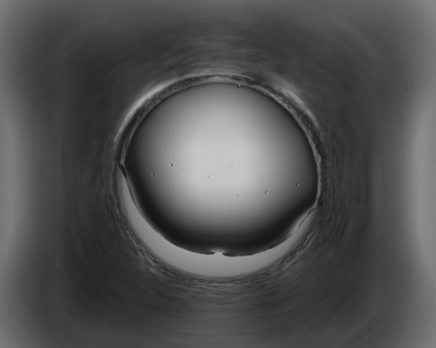 X0000083591312200703021833